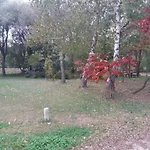 In Molat With Pool Ferienhaus Brgulje
