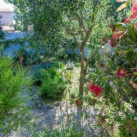 In Molat With Pool بيت للعطل