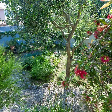Spacious In Molat With Pool * Brgulje