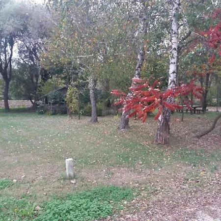 In Molat With Pool Дом отдыха Brgulje