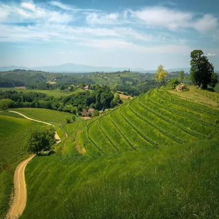 In Molat With Pool *