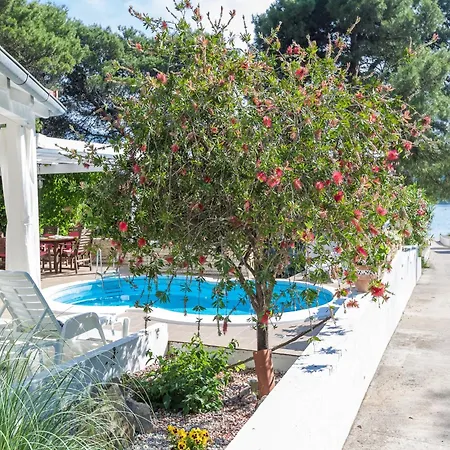 Nyaraló In Molat With Pool *