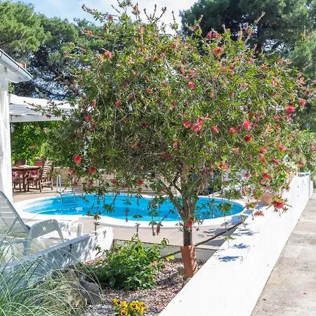 Spacious In Molat With Pool Brgulje