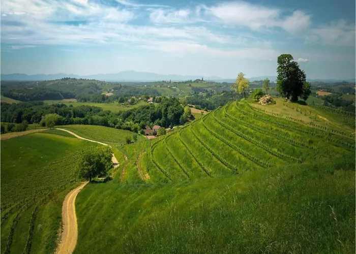 In Molat With Pool *