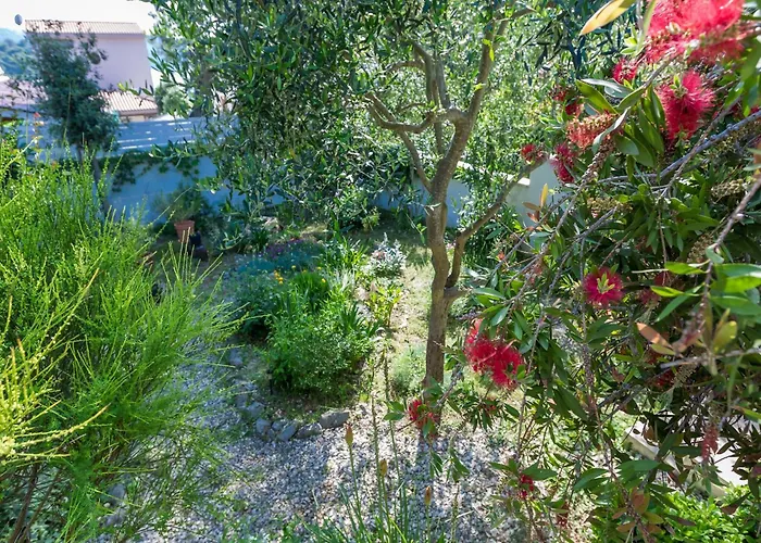 In Molat With Pool Nyaraló