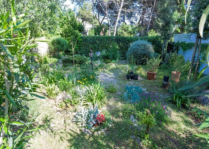 In Molat With Pool Nyaraló Brgulje